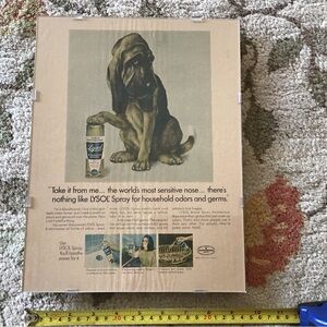 Vintage Lysol Spray Advertisement with Bloodhound, framed